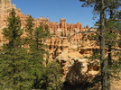 photo thumbnail #7