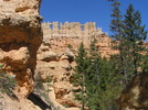 photo thumbnail #8