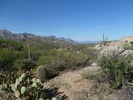 photo thumbnail #3