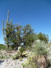 photo thumbnail #6