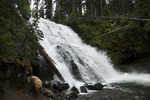 photo thumbnail #7