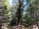 photo thumbnail #9