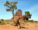 photo thumbnail #11