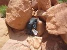 photo thumbnail #9