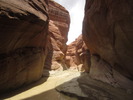 photo thumbnail #15