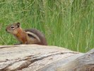 photo thumbnail #7