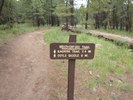 photo thumbnail #10
