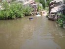 photo thumbnail #9