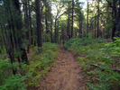photo thumbnail #10