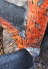 photo thumbnail #4