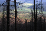 photo thumbnail #15