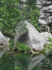 photo thumbnail #14