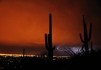 photo thumbnail #2