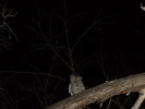 2011-08-01 :2: East Verde River :: Outlander