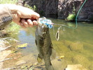 2011-08-01 :2: East Verde River :: Outlander
