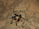 photo thumbnail #10