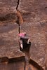 photo thumbnail #14