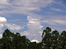 photo thumbnail #11