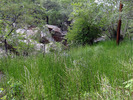 photo thumbnail #15