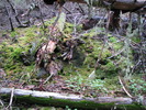 photo thumbnail #3