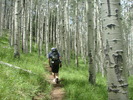 photo thumbnail #2