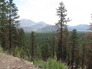 photo thumbnail #6