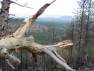 photo thumbnail #13
