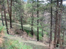 photo thumbnail #14
