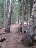 photo thumbnail #15