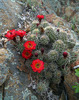 photo thumbnail #3