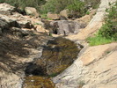 photo thumbnail #8