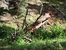 photo thumbnail #13