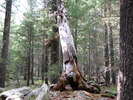 photo thumbnail #14