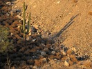 photo thumbnail #8