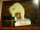 photo thumbnail #2