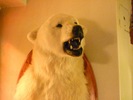 photo thumbnail #15