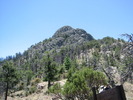 photo thumbnail #4