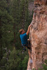 photo thumbnail #12