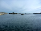 photo thumbnail #8