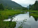 photo thumbnail #13