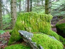 photo thumbnail #14