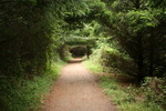 photo thumbnail #1
