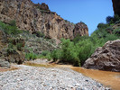 photo thumbnail #8
