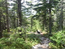 photo thumbnail #10