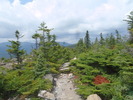 photo thumbnail #11