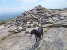 photo thumbnail #8