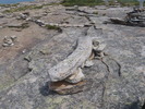 photo thumbnail #7