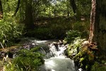 photo thumbnail #2