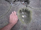 photo thumbnail #9