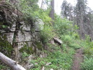 photo thumbnail #5